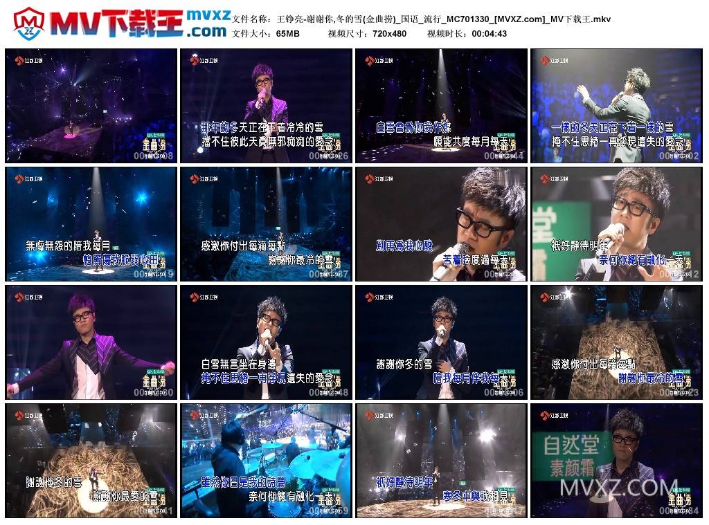 王铮亮-谢谢你,冬的雪(金曲捞)_国语_流行_MC701330